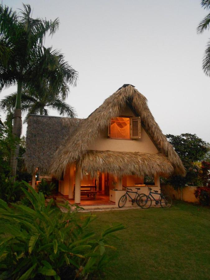Palm-Covered House In The Tropical -Casa Oli Las Galeras Exterior foto